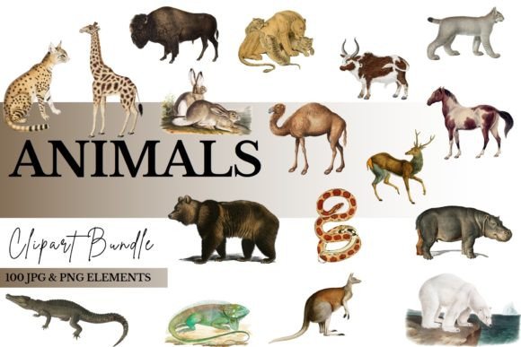 Animal Clipart Bundle: 100 Files for Your Creative Projects