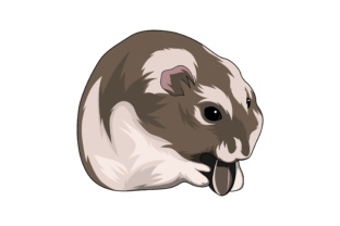 Animal Illustration: Your Go-To Creative Asset for Every Project
